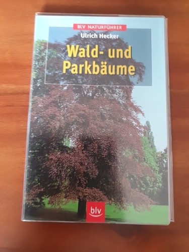 Die wald und parkbäume - die, wald-