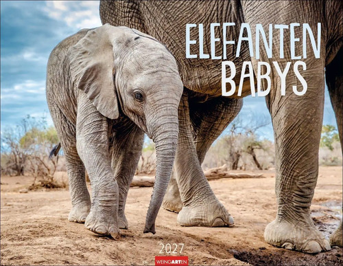 Elefantenbabys kalender 2027 - elefantenbabys,