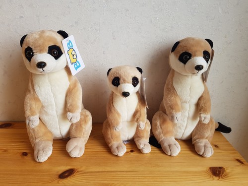 Niedliche erdmännchen - niedliche,