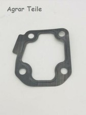 Thermostat Dichtung Steyr