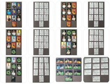 Ferrero DFB Teamsticker zur EM