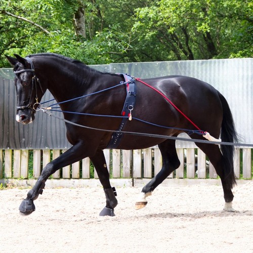 Whitaker training pessoa - training,