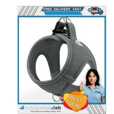 Joytale Hundegeschirr Kleine