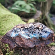 Sammlungsauflösung XXL