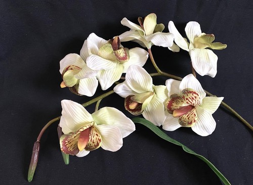 Orchidee stiel künstlich - orchidee,