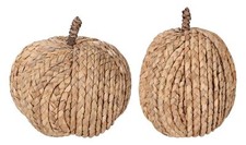 Kürbis Natur Seegras Groß