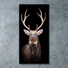 Wand-Bild Kunstdruck aus