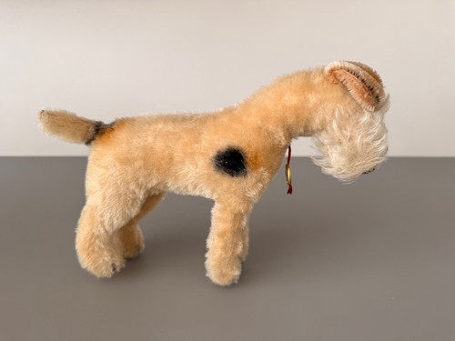 Teddy hermann schnauzer hund - teddy,
