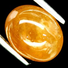 Shola echt ct - echt, 5,05