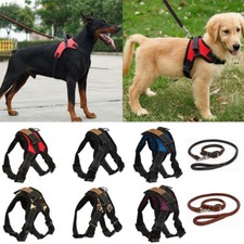 Hundegeschirr Brustgeschirr