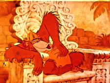 Super 8 Film Disney Dschungel