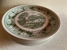 6 x Pizzateller * N.F. Swiss Landscape * Speiseteller * Vintage * grün-weiß *Top