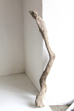 Schwemmholz Treibholz