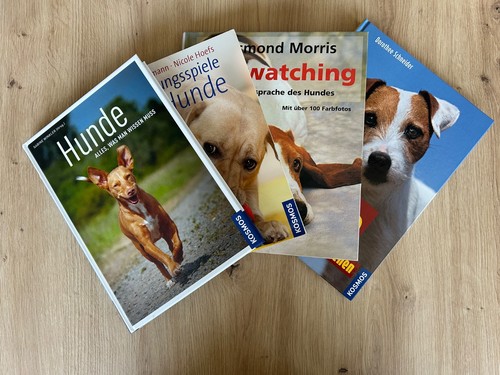 Ratgeber hund bzw - hund,