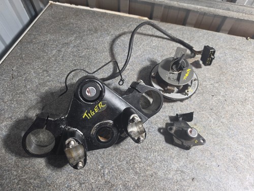 Triumph tiger 955i komplettes - triumph,