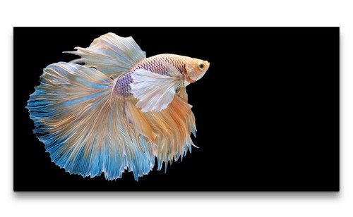 120x60cm leinwandbild - 120x60cm,