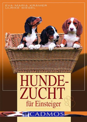Hundezucht für einsteiger - hundezucht,