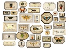 Ausschneidebogen-Bastelpapier-