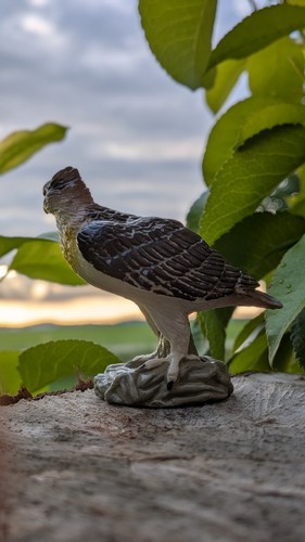 Schleich greifvögel set - schleich,