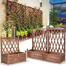 Pflanzkübel mit Spalier