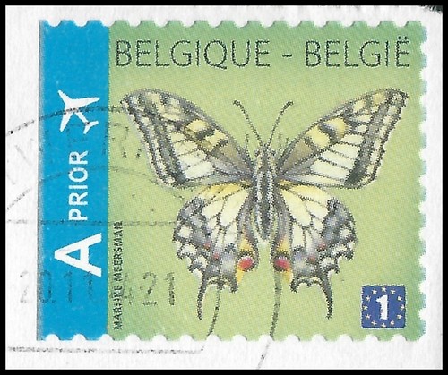 Schmetterling - ,