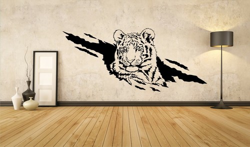 Tiger raubkatze katze - katze, wildlife