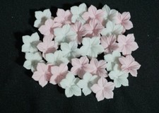 30 Zuckerblumen Blüten