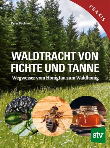 Waldtracht von fichte und - von,