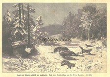 "Jagd auf Füchse mittelst Lockpfeife" Original Holzstich von 1892