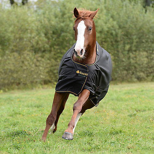 Bucas irish turnout light 50g - turnout,