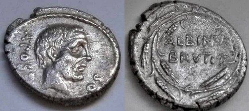 Brutus albinus denar - albinus.,