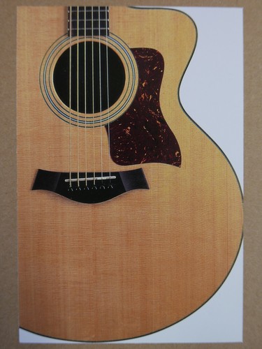 Popkarte feat taylor 315ce - popkarte,