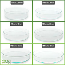 8 XXL Futterschalen aus Glas für Aquarium & Terrarium | Garnelen Schnecken Welse