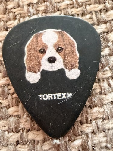 All time low guitar pick - time,