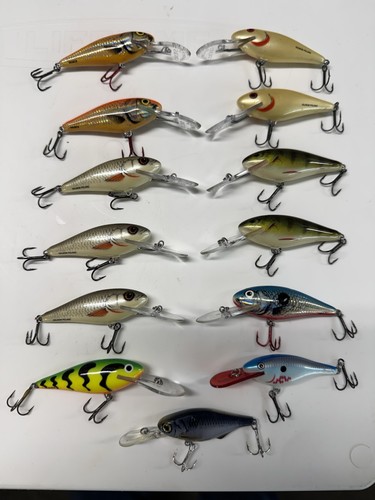 Salmo excecutor floating - excecutor,