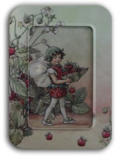 Kartenset "Fruits of the garden" in Metalldose, 12 Flower Fairies Karten