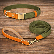 Halsband leine set - leine,