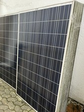 PV Photovoltaik Modul Lintech 250W   einige vorhanden
