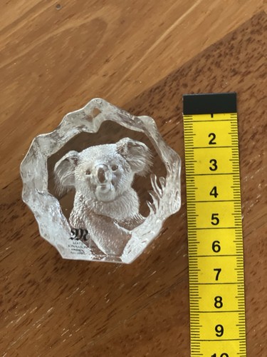 Koala bär mats - bär,