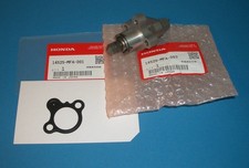 Steuerkettenspanner mit