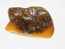 Schöner Butterscotch Egg Yolk