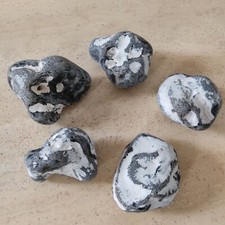 Kieselsteine f. Aquarium Teich Fische Fisch Dekoration Terrarium Steine Deko