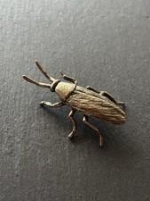 Kakerlake aus Messing | Insekt