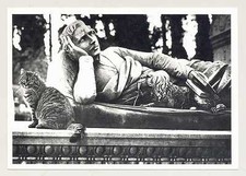 1 AK sw Katze "Denkmal" - Artcolor ::