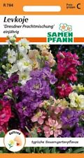Levkoje Dresdner Prachtmischung - Levkojen Sommerblumen Blumen Samen Saatgut