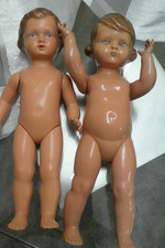 Zwiei sehr alte Schildkröt