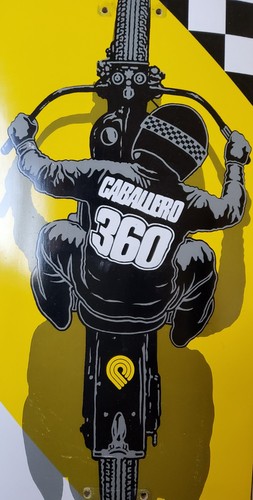 Steve caballero flat track - steve,