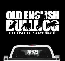Old English Bulldog Hundesport