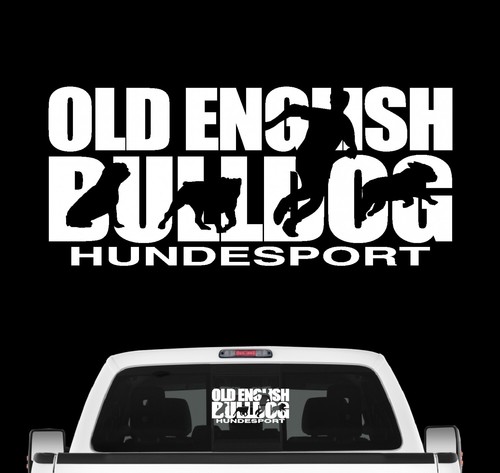 Old english bulldog hundesport - english,