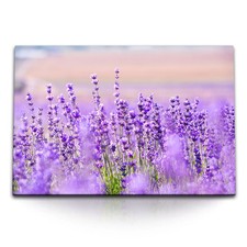 120x80cm wandbild auf - 120x80cm, leinwand